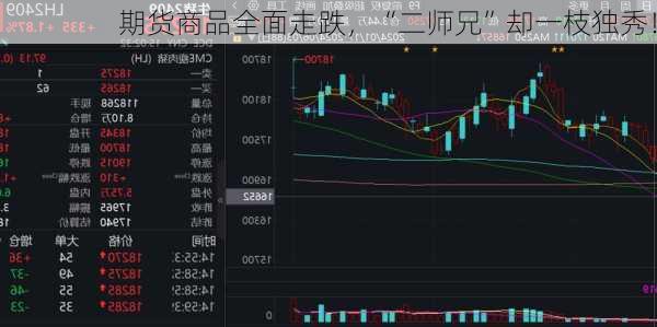 期货商品全面走跌，“二师兄”却一枝独秀！