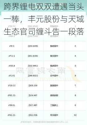 跨界锂电双双遭遇当头一棒，丰元股份与天域生态官司缠斗告一段落