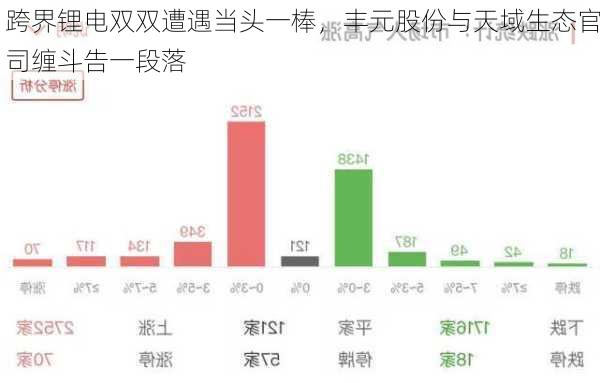 跨界锂电双双遭遇当头一棒，丰元股份与天域生态官司缠斗告一段落