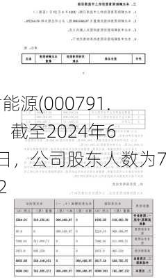 甘肃能源(000791.SZ)：截至2024年6月7日，公司股东人数为70362