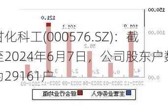 甘化科工(000576.SZ)：截至2024年6月7日，公司股东户数为29161户