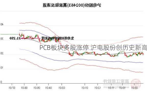 PCB板块多股涨停 沪电股份创历史新高