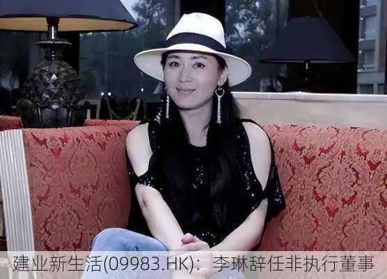 建业新生活(09983.HK)：李琳辞任非执行董事