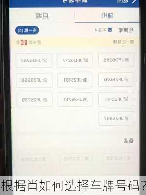 根据肖如何选择车牌号码？