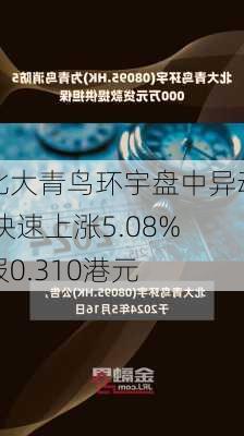 北大青鸟环宇盘中异动 快速上涨5.08%报0.310港元