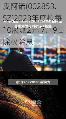 皮阿诺(002853.SZ)2023年度拟每10股派2元 7月9日除权除息