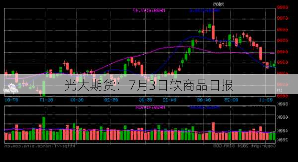 光大期货：7月3日软商品日报