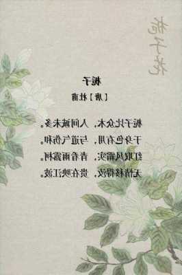 栀子花花语是什么