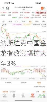 纳斯达克中国金龙指数涨幅扩大至3%