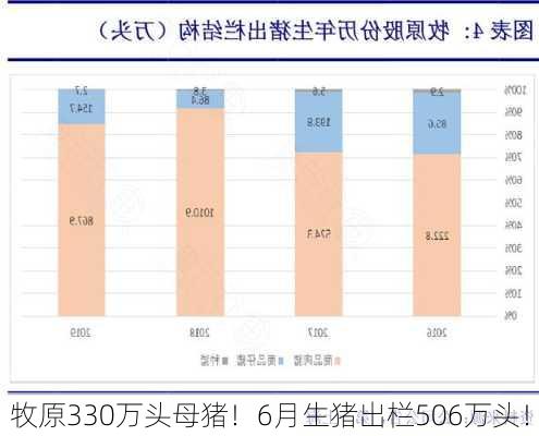 牧原330万头母猪！6月生猪出栏506万头！