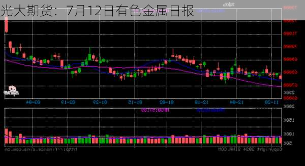 光大期货：7月12日有色金属日报