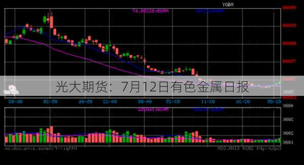 光大期货：7月12日有色金属日报