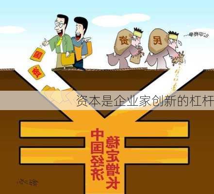 资本是企业家创新的杠杆