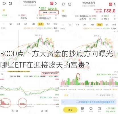 3000点下方大资金的抄底方向曝光！哪些ETF在迎接泼天的富贵？