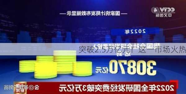 突破2.5万亿元！这一市场火热