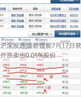 沪深股通|盛新锂能7月17日获外资卖出0.05%股份