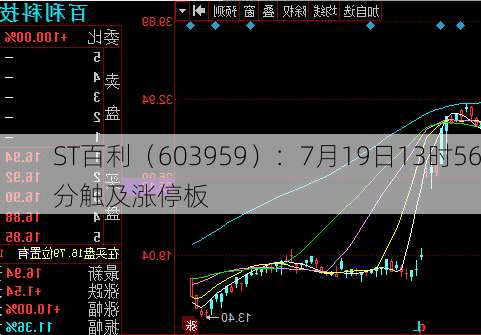 ST百利（603959）：7月19日13时56分触及涨停板