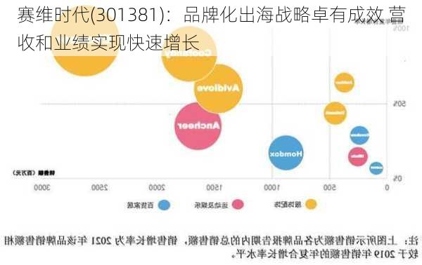 赛维时代(301381)：品牌化出海战略卓有成效 营收和业绩实现快速增长