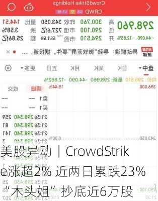 美股异动｜CrowdStrike涨超2% 近两日累跌23% “木头姐”抄底近6万股