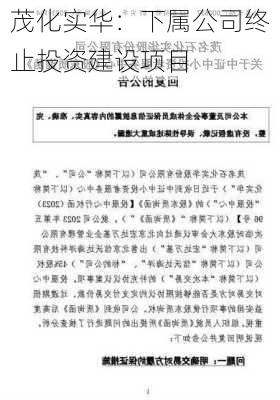 茂化实华：下属公司终止投资建设项目