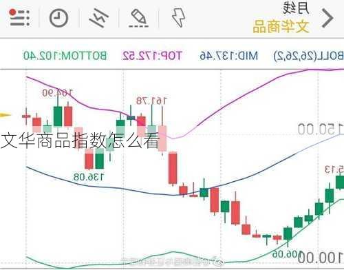 文华商品指数怎么看