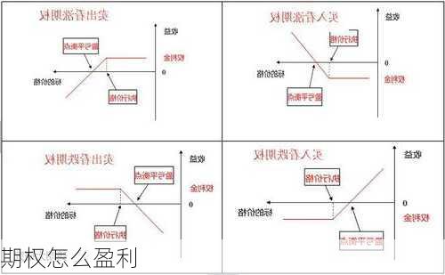 期权怎么盈利