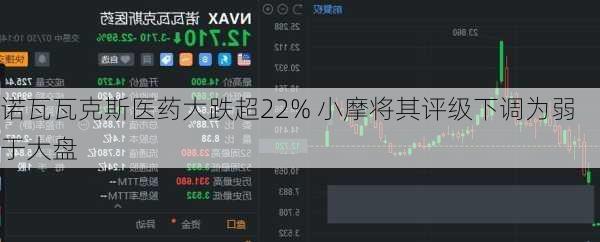 诺瓦瓦克斯医药大跌超22% 小摩将其评级下调为弱于大盘