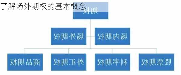 了解场外期权的基本概念