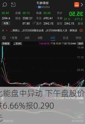 中北能盘中异动 下午盘股价大跌6.66%报0.290美元