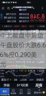 中北能盘中异动 下午盘股价大跌6.66%报0.290美元