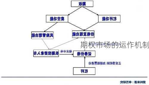 期权市场的运作机制