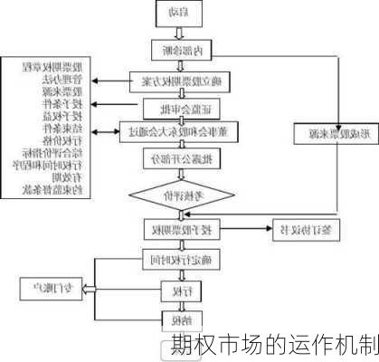 期权市场的运作机制