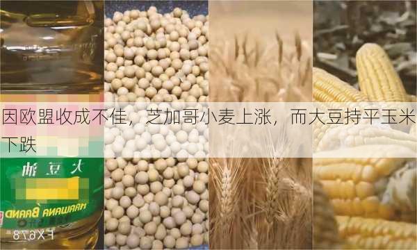 因欧盟收成不佳，芝加哥小麦上涨，而大豆持平玉米下跌