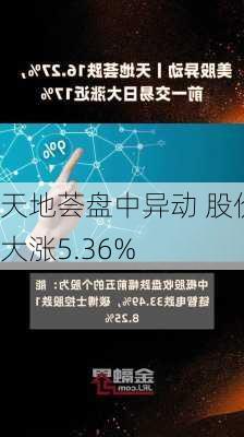 天地荟盘中异动 股价大涨5.36%