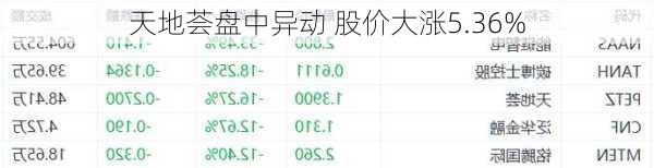 天地荟盘中异动 股价大涨5.36%