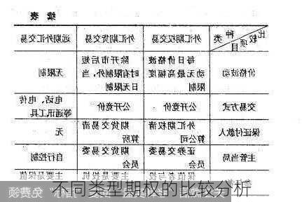 不同类型期权的比较分析