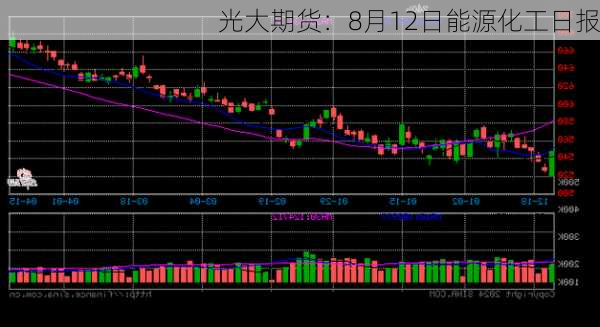 光大期货：8月12日能源化工日报