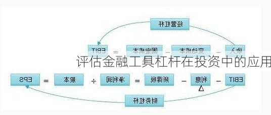 评估金融工具杠杆在投资中的应用