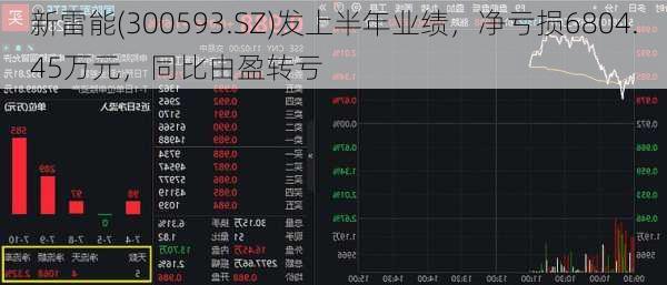 新雷能(300593.SZ)发上半年业绩，净亏损6804.45万元，同比由盈转亏