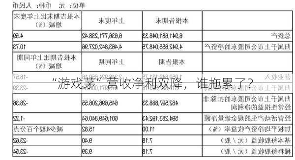 “游戏茅”营收净利双降，谁拖累了？