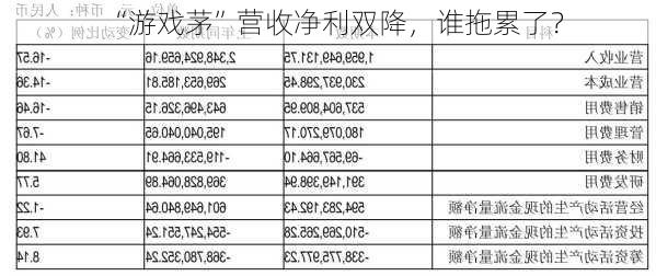 “游戏茅”营收净利双降，谁拖累了？