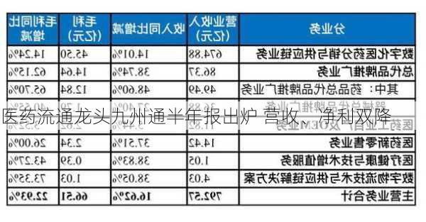 医药流通龙头九州通半年报出炉 营收、净利双降