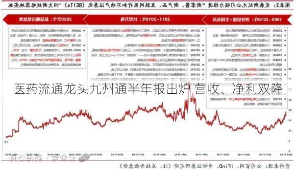 医药流通龙头九州通半年报出炉 营收、净利双降