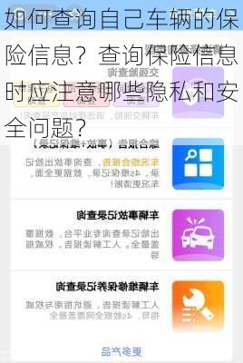 如何查询自己车辆的保险信息？查询保险信息时应注意哪些隐私和安全问题？