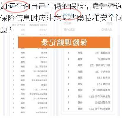 如何查询自己车辆的保险信息？查询保险信息时应注意哪些隐私和安全问题？