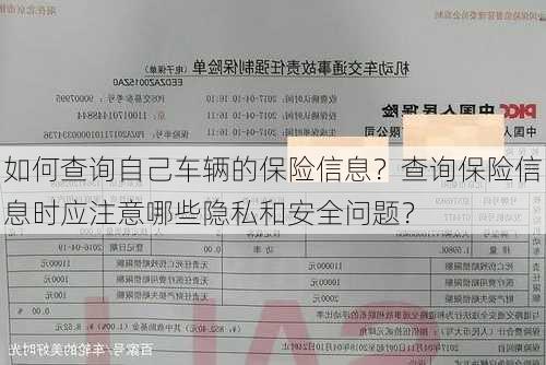 如何查询自己车辆的保险信息？查询保险信息时应注意哪些隐私和安全问题？