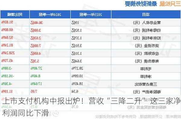 上市支付机构中报出炉！营收“三降二升” 这三家净利润同比下滑