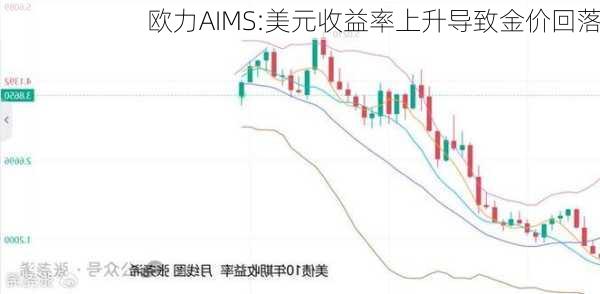 欧力AIMS:美元收益率上升导致金价回落