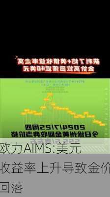 欧力AIMS:美元收益率上升导致金价回落