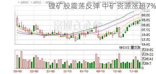 锂矿股震荡反弹 中矿资源涨超7%